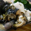 ＊＊　ブログ・デビュー　＊＊の画像
