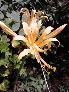 2008083112450000.jpg