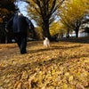 どっちもー好きだぁー!!　けど、【北大の】の画像