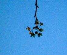 200603300600000.jpg