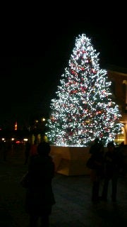 2008110123250000.jpg