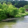 水、みずの画像