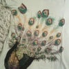 ★孔雀Tシャツ★の画像