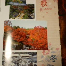 画像 紅葉？ の記事より 5つ目