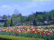 080429_1315~01_0001.jpg