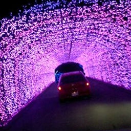 ★日々マイペースダイアリー★-081217_2057~0001.jpg