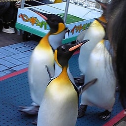 だいすき・ω・-090125_153522.jpg