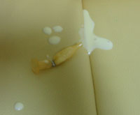 a3