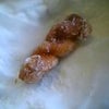 ムカぱんの画像