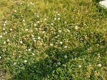 TS290564001001.JPG