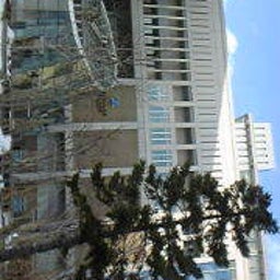 純恋(スミレ)オフィシャルブログ - SUMIRE OFFICIAL BLOG-090125_151609.jpg