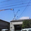 4.25の画像