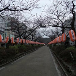 いくじなし男の育児日記-道