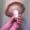 豆まいといたよ。の画像