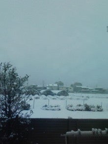 080203_0959~01.jpg