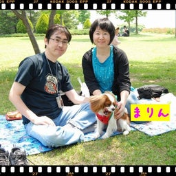 画像 ２００８年　遠足♪木曽三川公園！！ の記事より 12つ目
