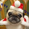 クリスマスって…の画像