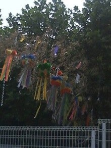 080706_1430~0002.jpg