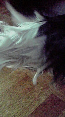 2008071612350000.jpg
