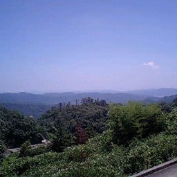 画像 その帰り道・・・。 の記事より 14つ目