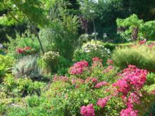 flowergarden