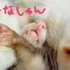 三姉妹から☆の画像