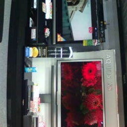 純恋(スミレ)オフィシャルブログ - SUMIRE OFFICIAL BLOG-F1010344.jpg