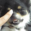 プラスマイナスゼロ☆の画像