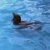 寒さに強いの画像