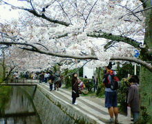 200704011438000.jpg