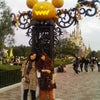 ★ディズニー★の画像