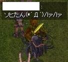 ソヒー