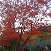 かまくらの画像