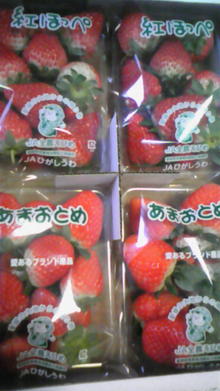 do-kanucchiさんのﾌﾞﾛｸﾞ-081231_140004.jpg