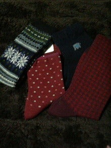 ハチの日記-200812152144000.jpg