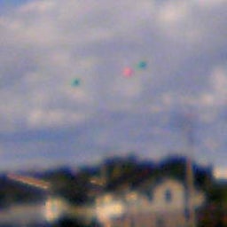 081120_103402.JPG