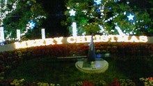 NEC_0781.jpg