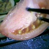 正月に１人…⑦の画像