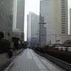 東京都庁の画像