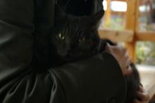ひざの上