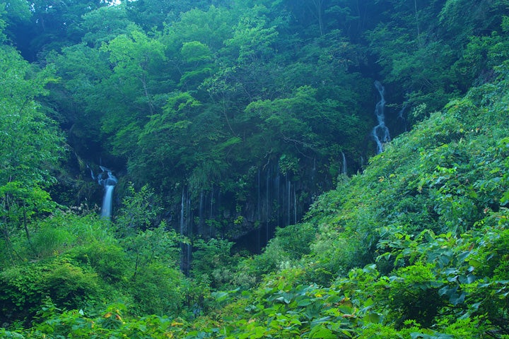 真昼冷泉
