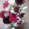 お花♪３の画像