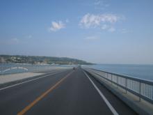 The Bridge