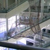 日展の画像