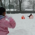 雪合戦の記事より