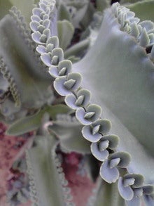 2008082209510000.jpg