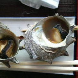 2008090323330000.jpg