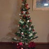 今日が本当のクリスマス～♪の画像