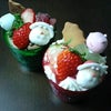 2008/12/22の画像