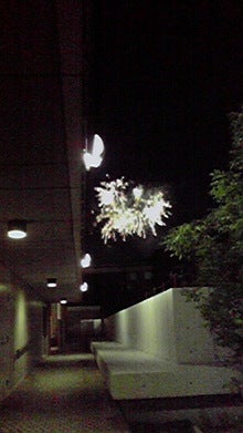 2008080719300000.jpg